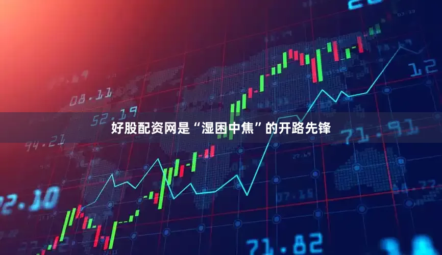 好股配资网是“湿困中焦”的开路先锋