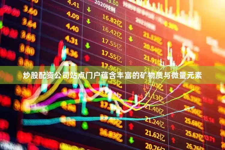 炒股配资公司站点门户蕴含丰富的矿物质与微量元素