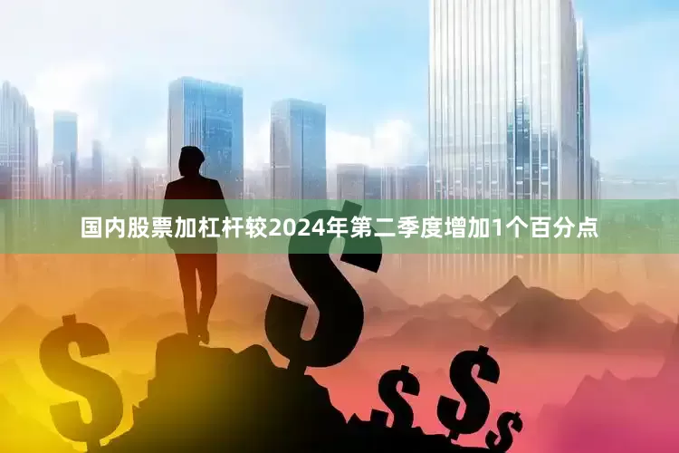 国内股票加杠杆较2024年第二季度增加1个百分点